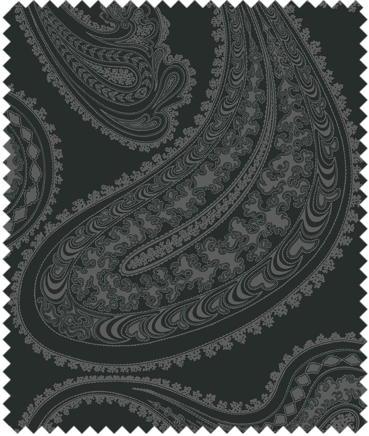 Cole & Son – Stoff Rajapur Velvet – F111/10037 – Charcoal on Black