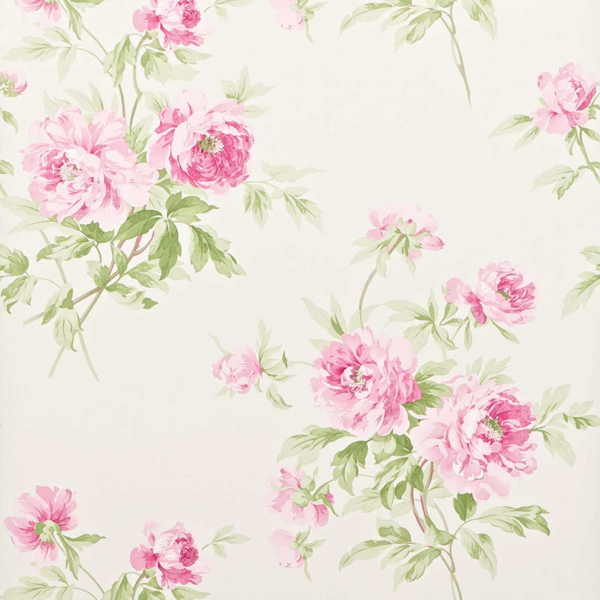 Sanderson - Tapete Adele-Tapeten-Sanderson-RASPBERRY/IVORY DCAVAD104-DCAVAD104-Toju Interior