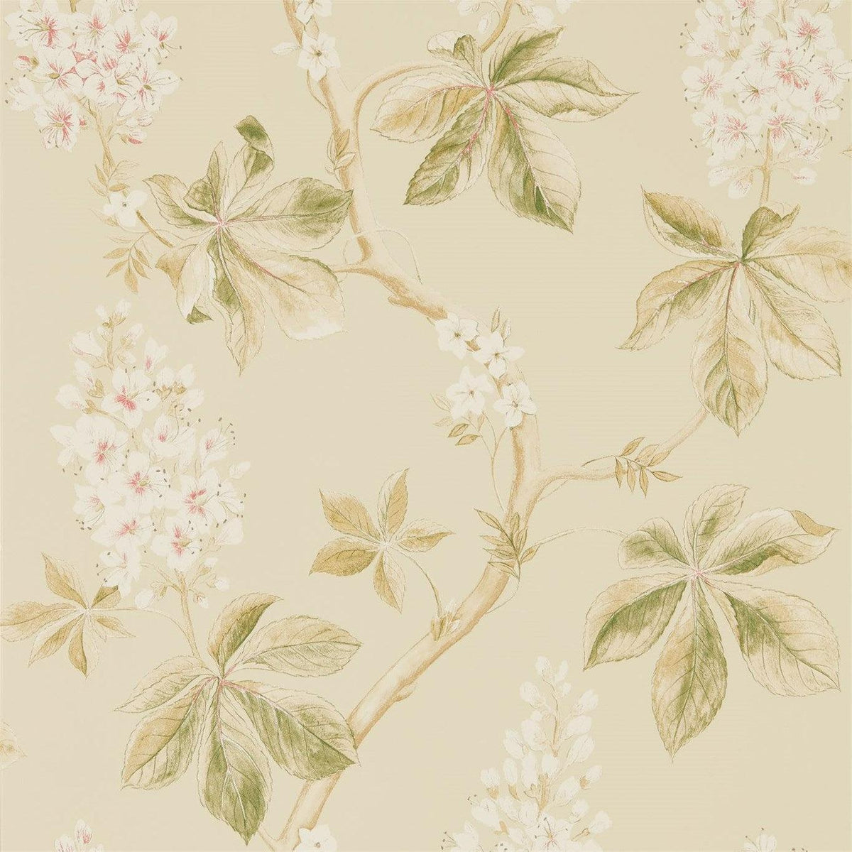 Sanderson - Tapete Chestnut Tree-Tapeten-Sanderson-CORAL/BAYLEAF 215709-215709-Toju Interior