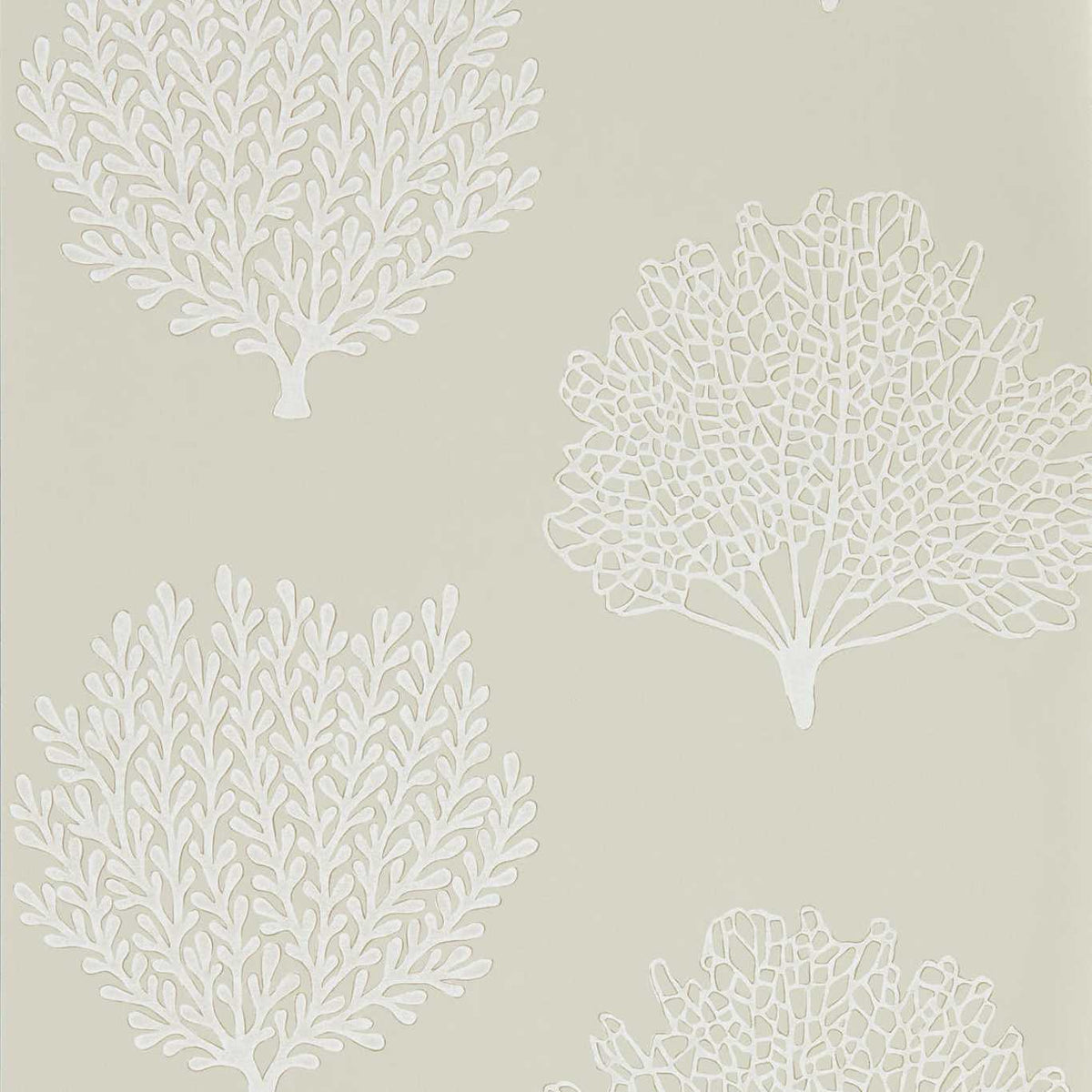 Sanderson - Tapete Coraline-Tapeten-Sanderson-DRIFTWOOD 216574-216574-Toju Interior
