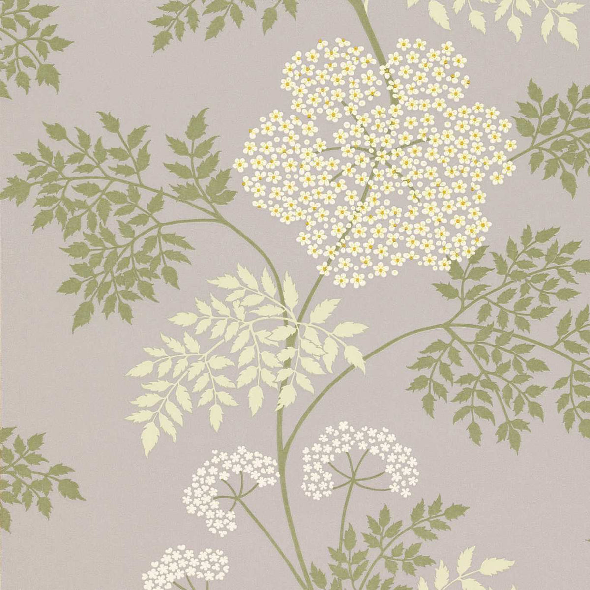 Sanderson - Tapete Cowparsley-Tapeten-Sanderson-AMETHYST DOPWCO103-DOPWCO103-Toju Interior