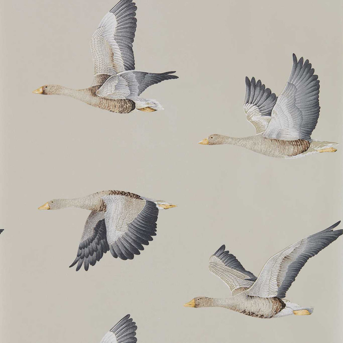 Sanderson - Tapete Elysian Geese-Tapeten-Sanderson-GILVER 216611-216611-Toju Interior