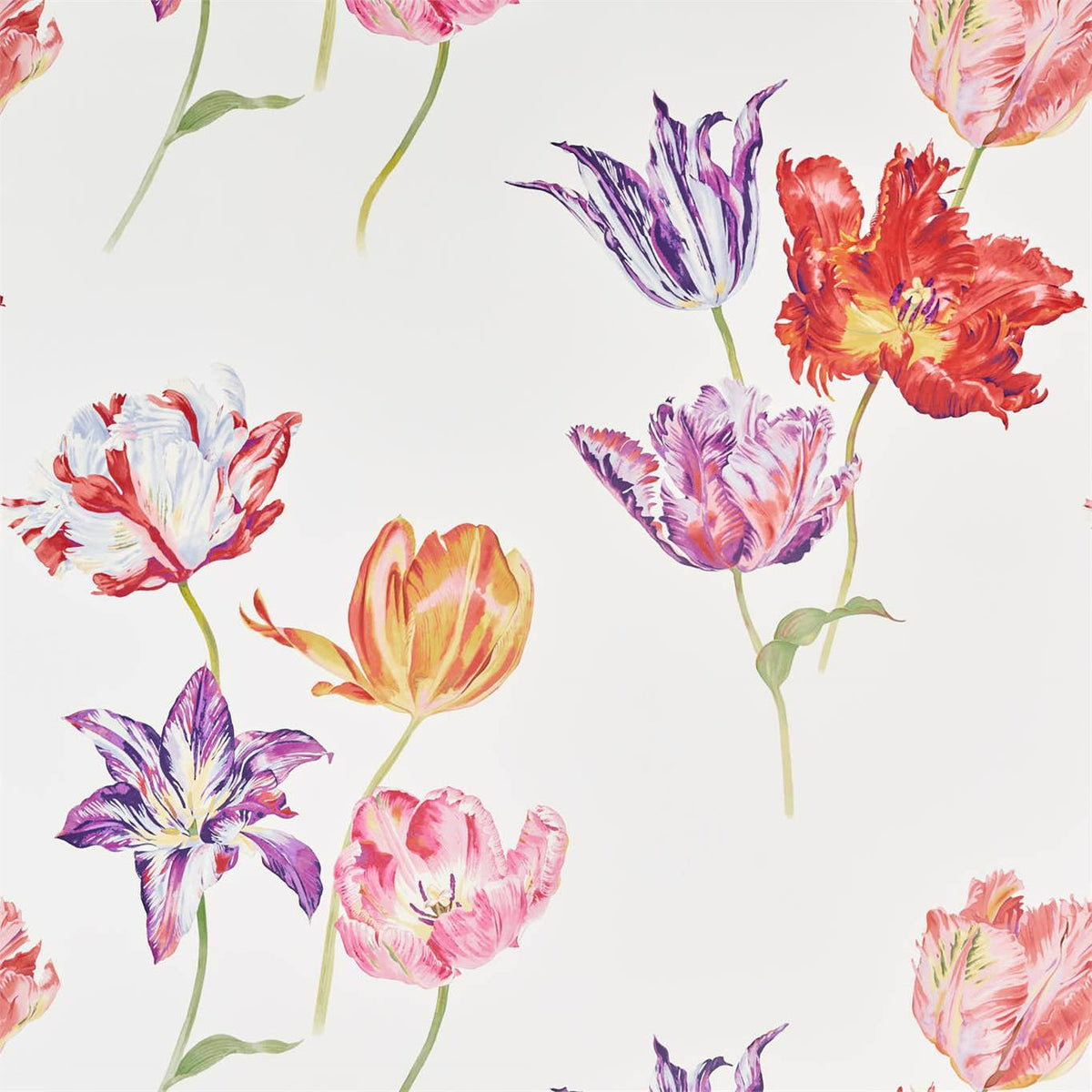 Sanderson - Tapete Tulipomania-Tapeten-Sanderson-TULIPOMANIA BOTANICAL 216666-DGLW216666-Toju Interior
