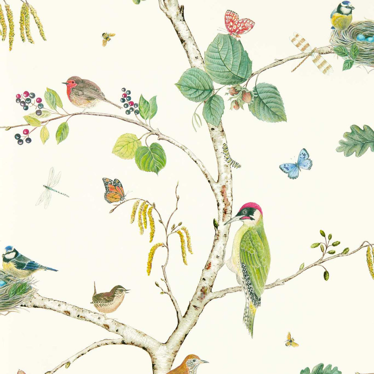 Sanderson - Tapete Woodland Chorus-Tapeten-Sanderson-BOTANICAL/MULTI 217230-DABW217230-Toju Interior