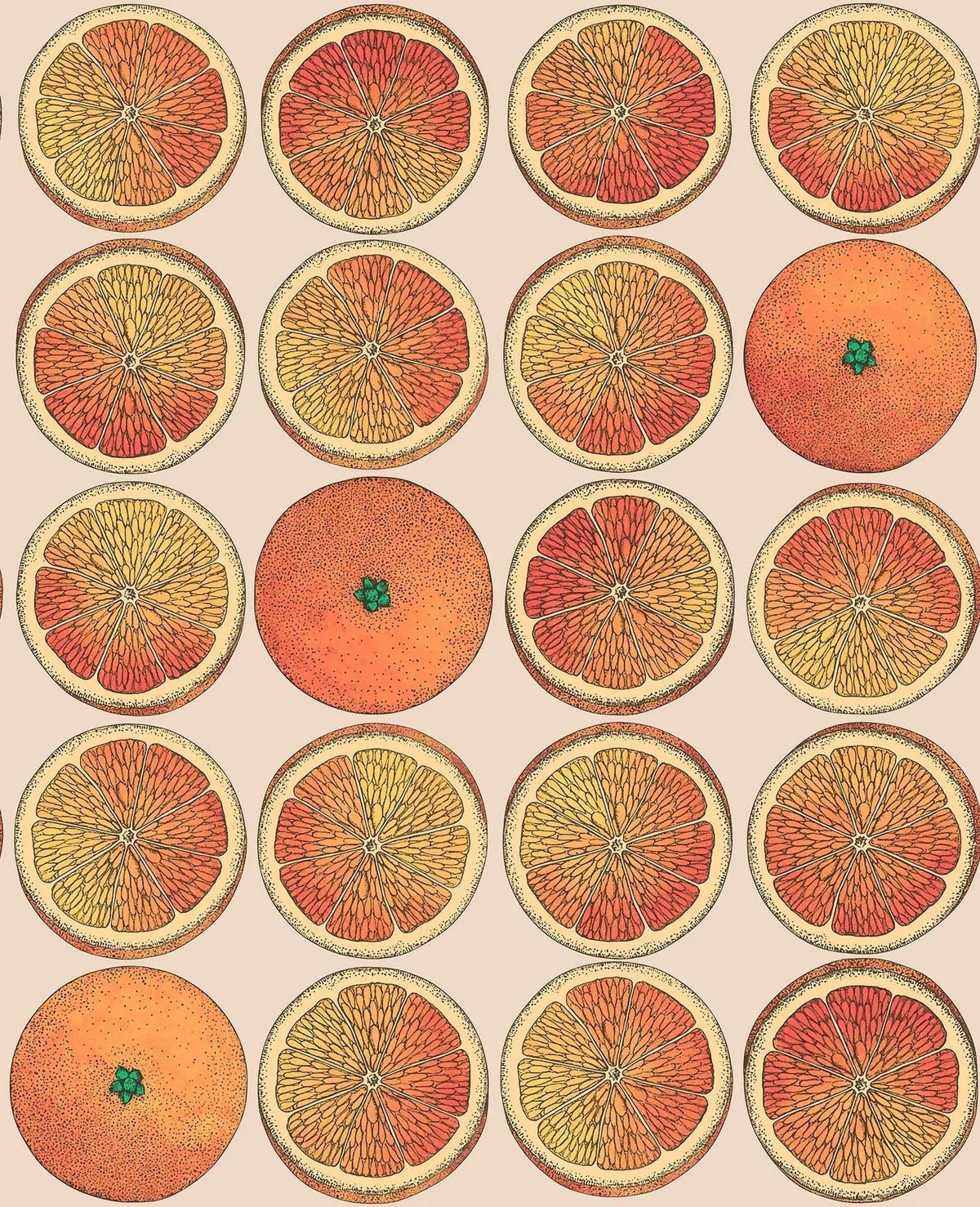 Cole & Son Arance Tapete in Orange & Cream