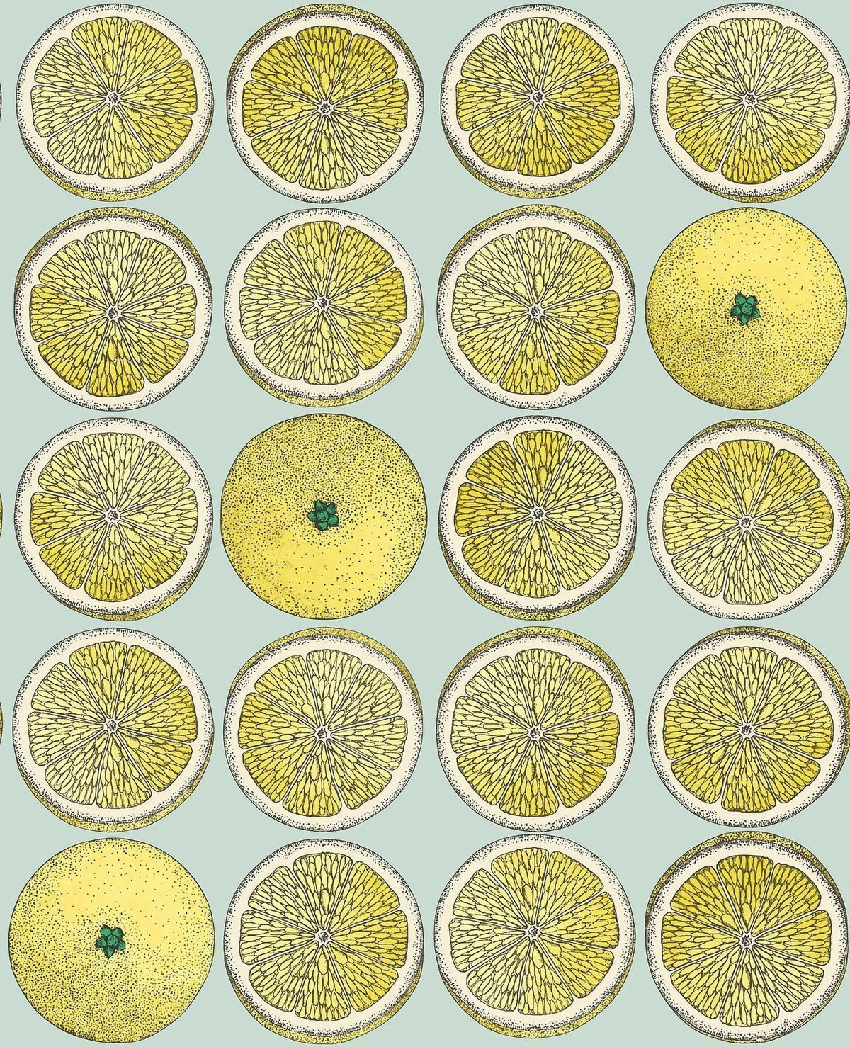 Cole & Son Arance Tapete in Lemon & Seafoam