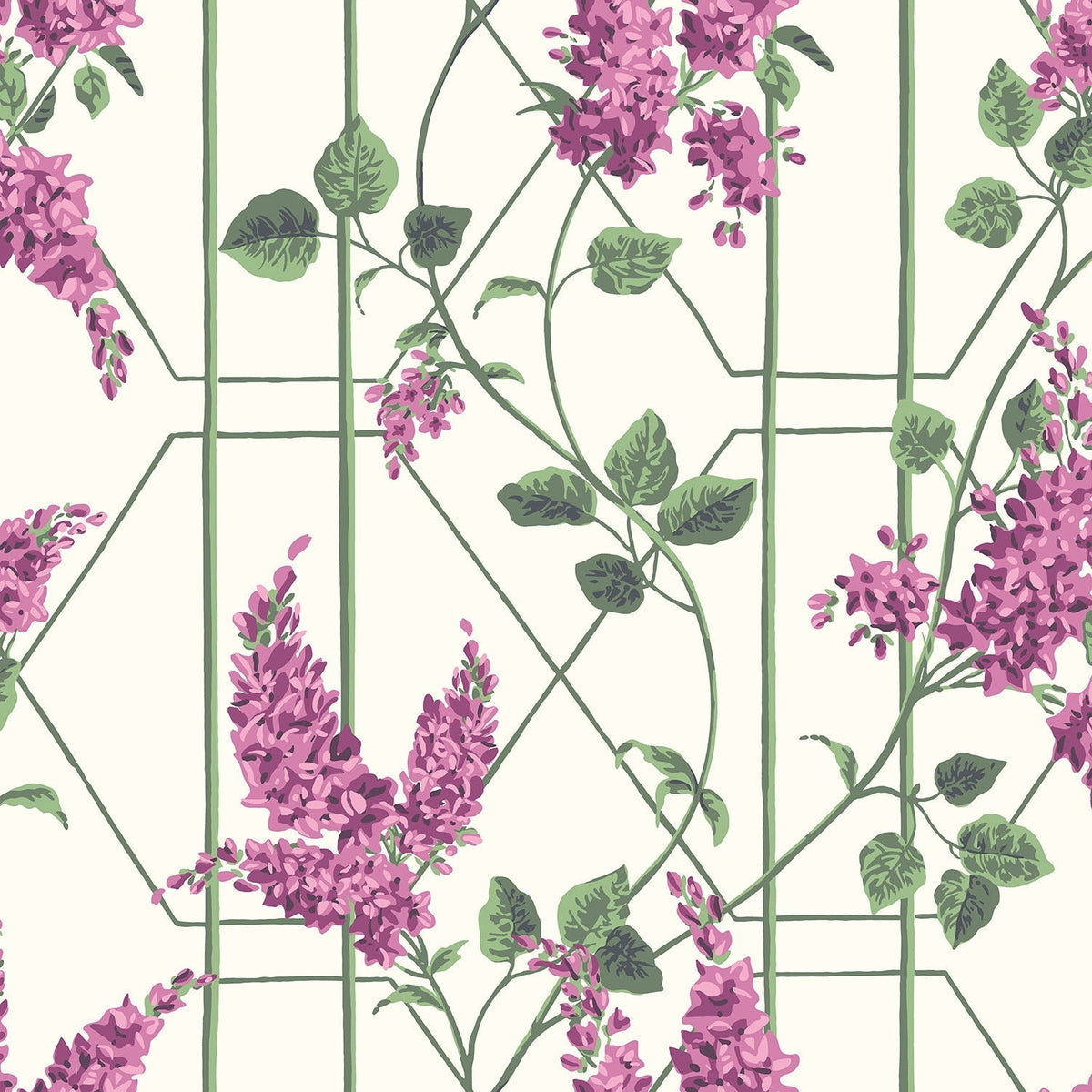 Cole & Son Wisteria Magenta & Leaf Green on Chalk 115/5013 – Muster