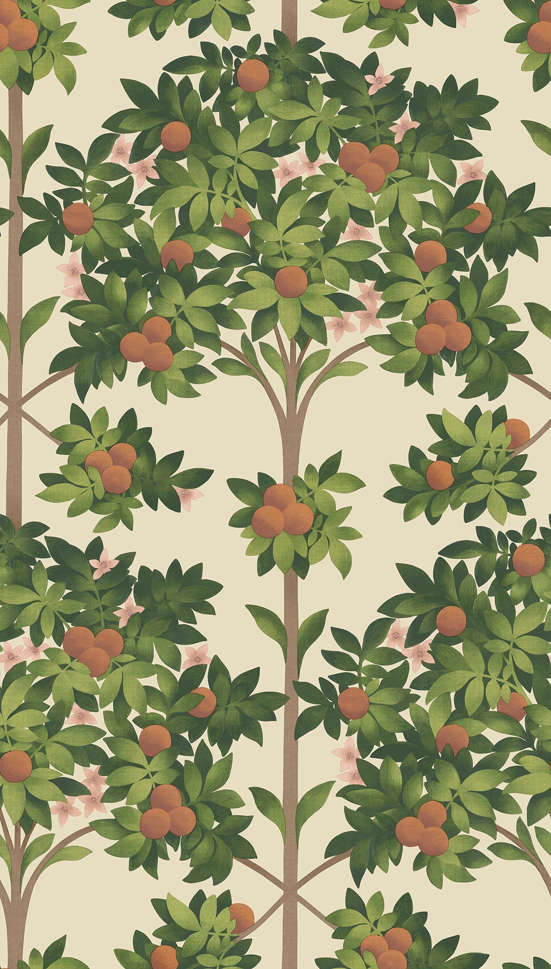 Cole & Son Orange Blossom Orange & Spring Green on Parchment 117/1001 – Muster