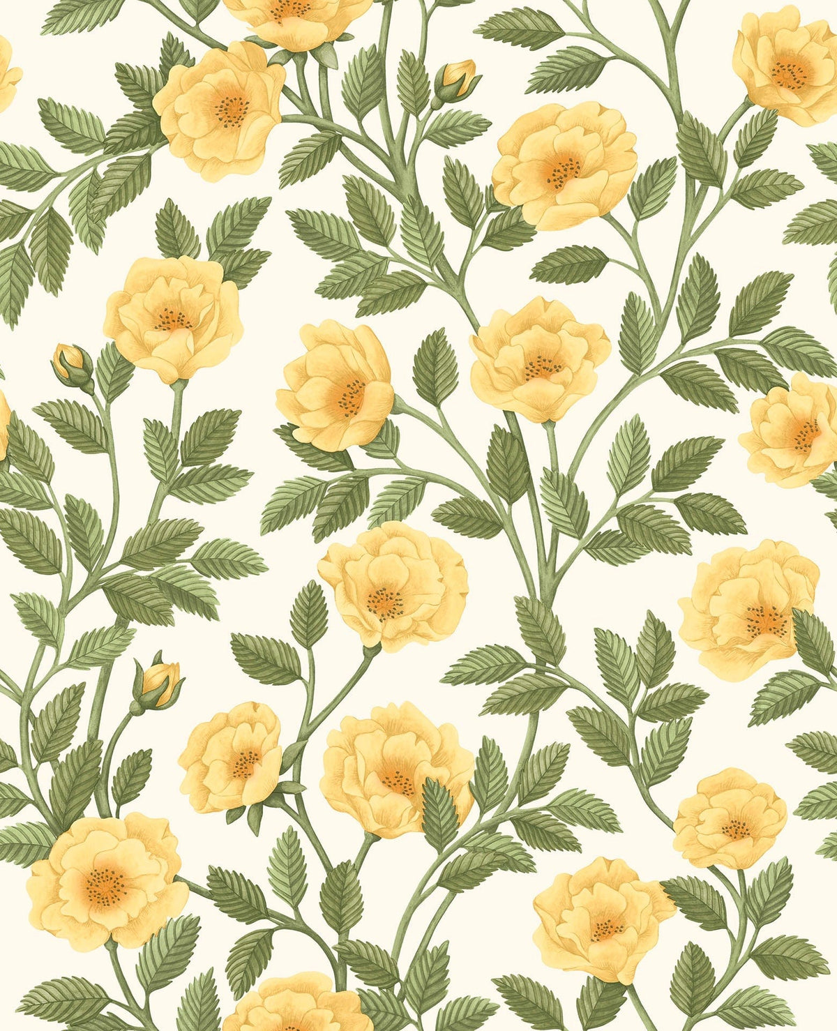 Cole & Son Hampton Roses Marigold & Olive Green on White 118/7015 – Muster