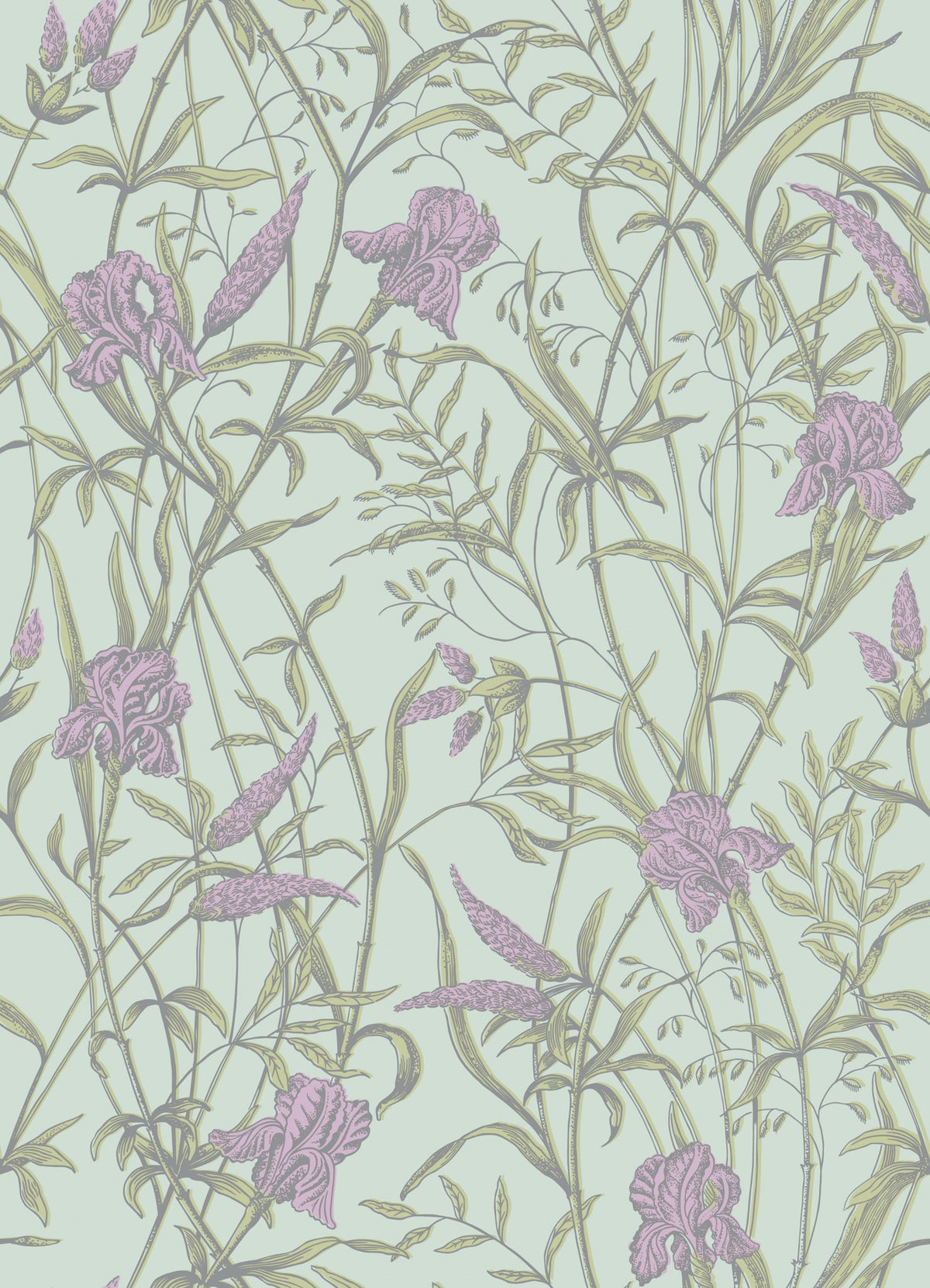Cole & Son Iris Lavender on Duck Egg 128/5024 – Muster