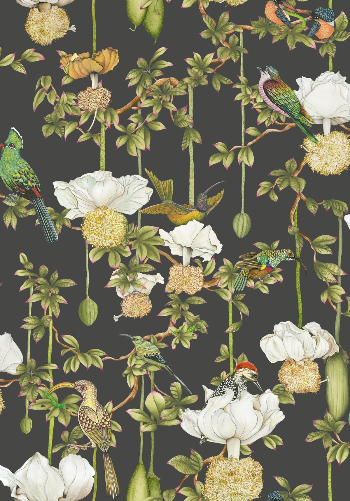 Cole & Son Baobab Botanica Onyx 129/2009 – Muster