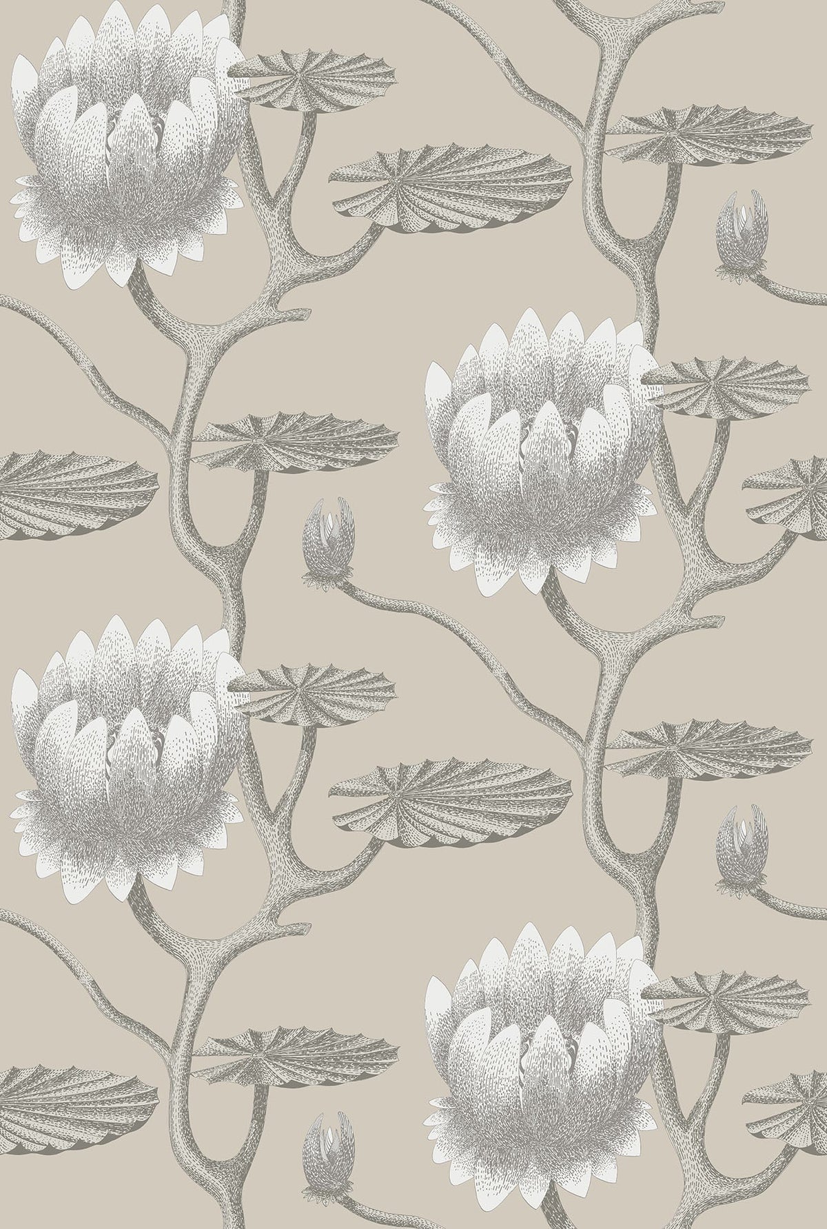 Cole & Son Summer Lily White on Stone 95/4025 – Muster