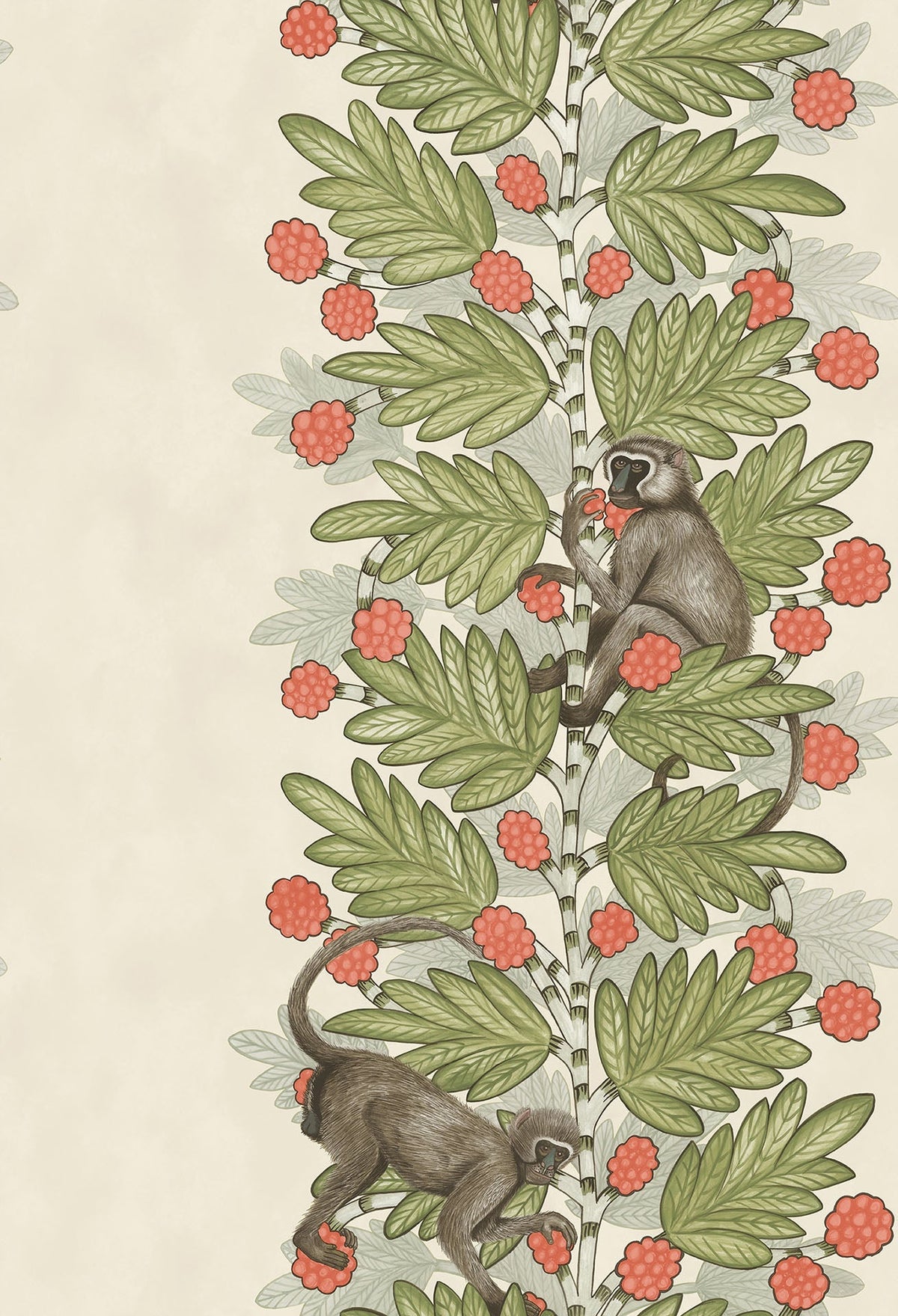 Cole & Son Acacia Tapete – Olive & Coral on Parchment (109/11051), Musteransicht