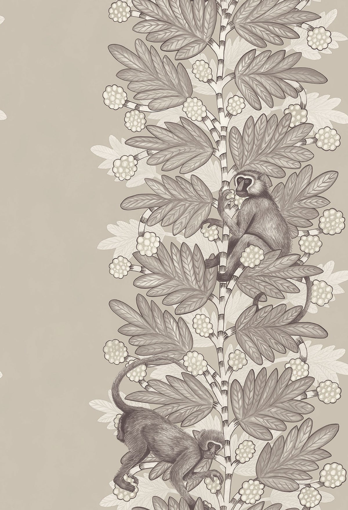 Cole & Son Acacia Tapete – Taupe & White on Stone (109/11054), Musteransicht