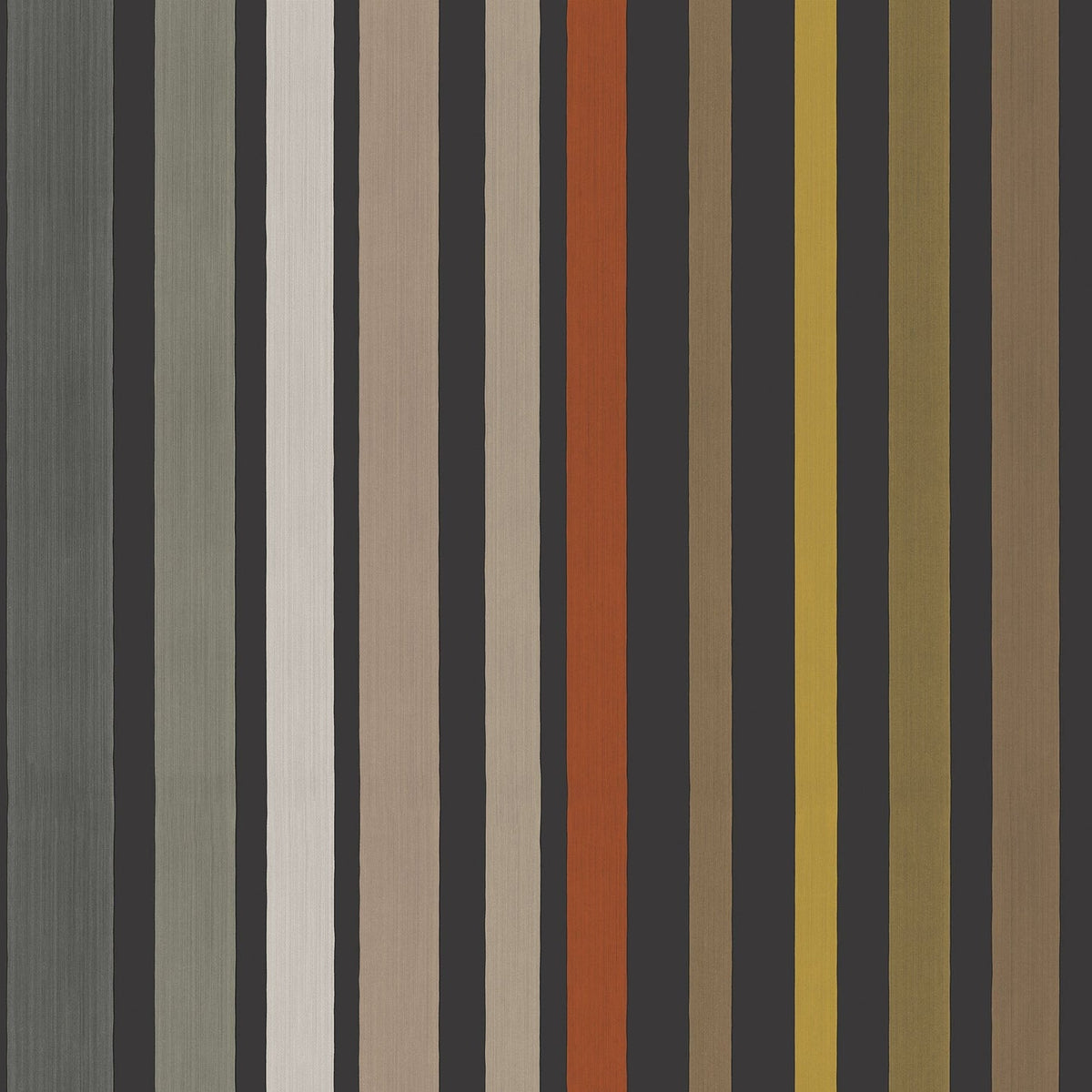 Cole & Son Carousel Stripe, Black & Multi, 108/6031
