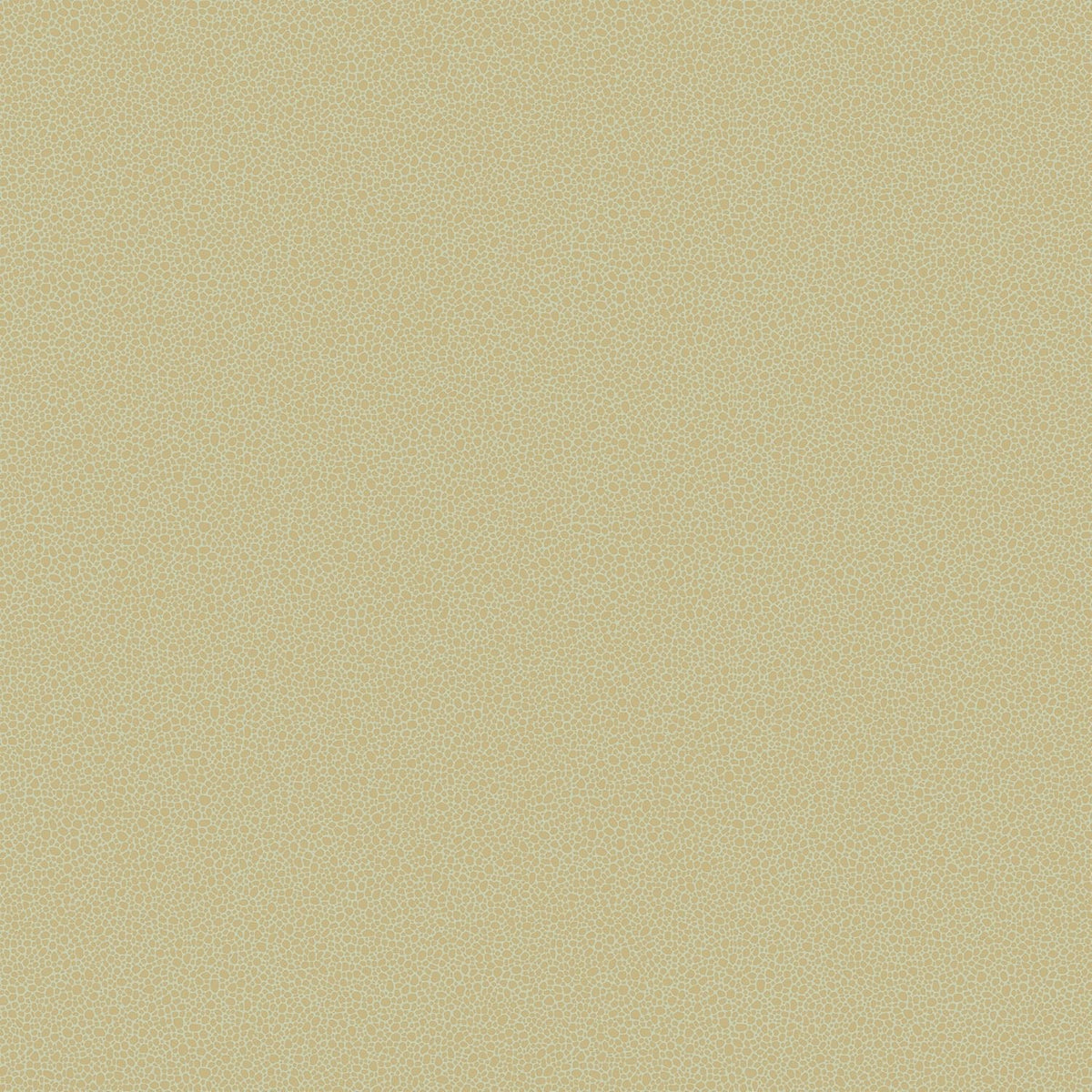 Cole & Son Goldstone – Metallic Gold on Soft Olive (107/9041)