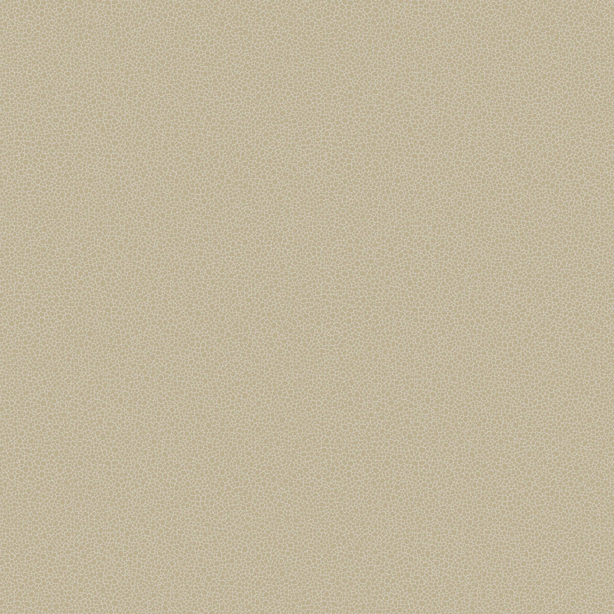 Cole & Son Goldstone – Metallic Gilver on Stone (107/9042)