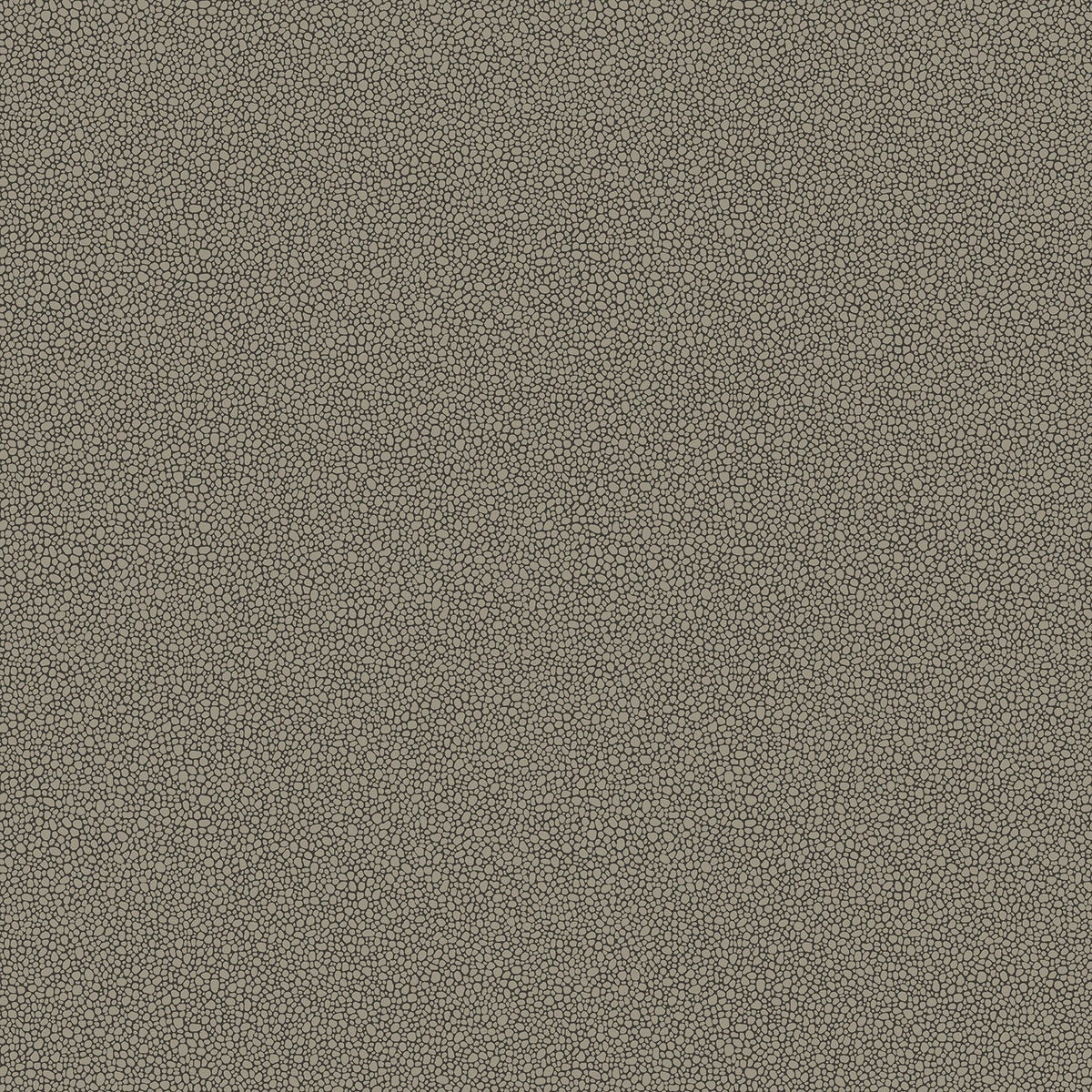 Cole & Son Goldstone – Metallic Silver on Charcoal (107/9043)
