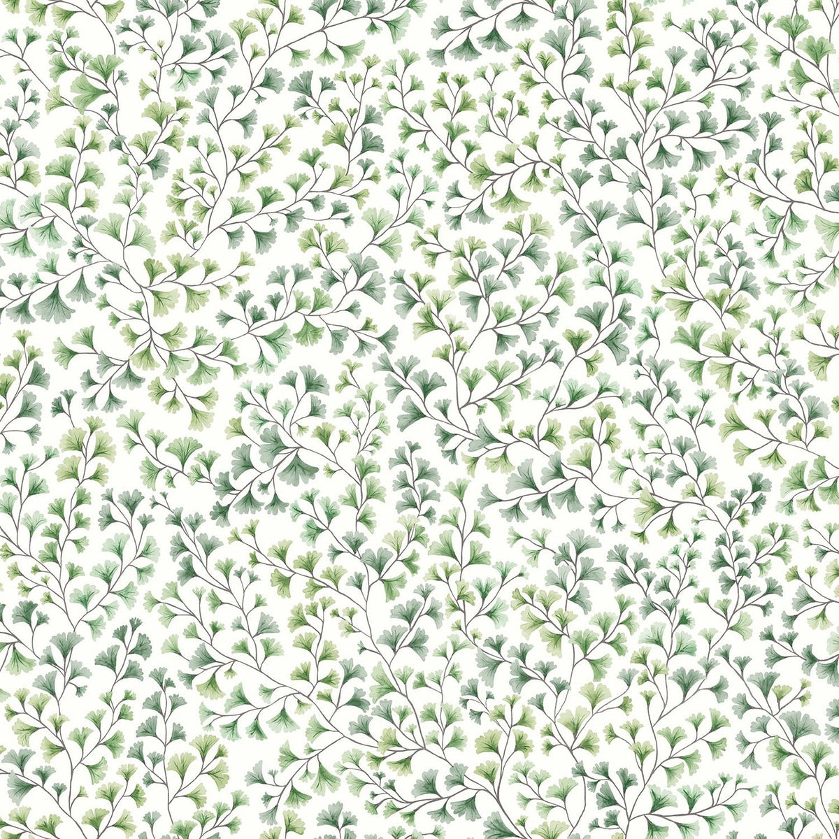 Cole & Son Maidenhair – Olive Green (115/6018)