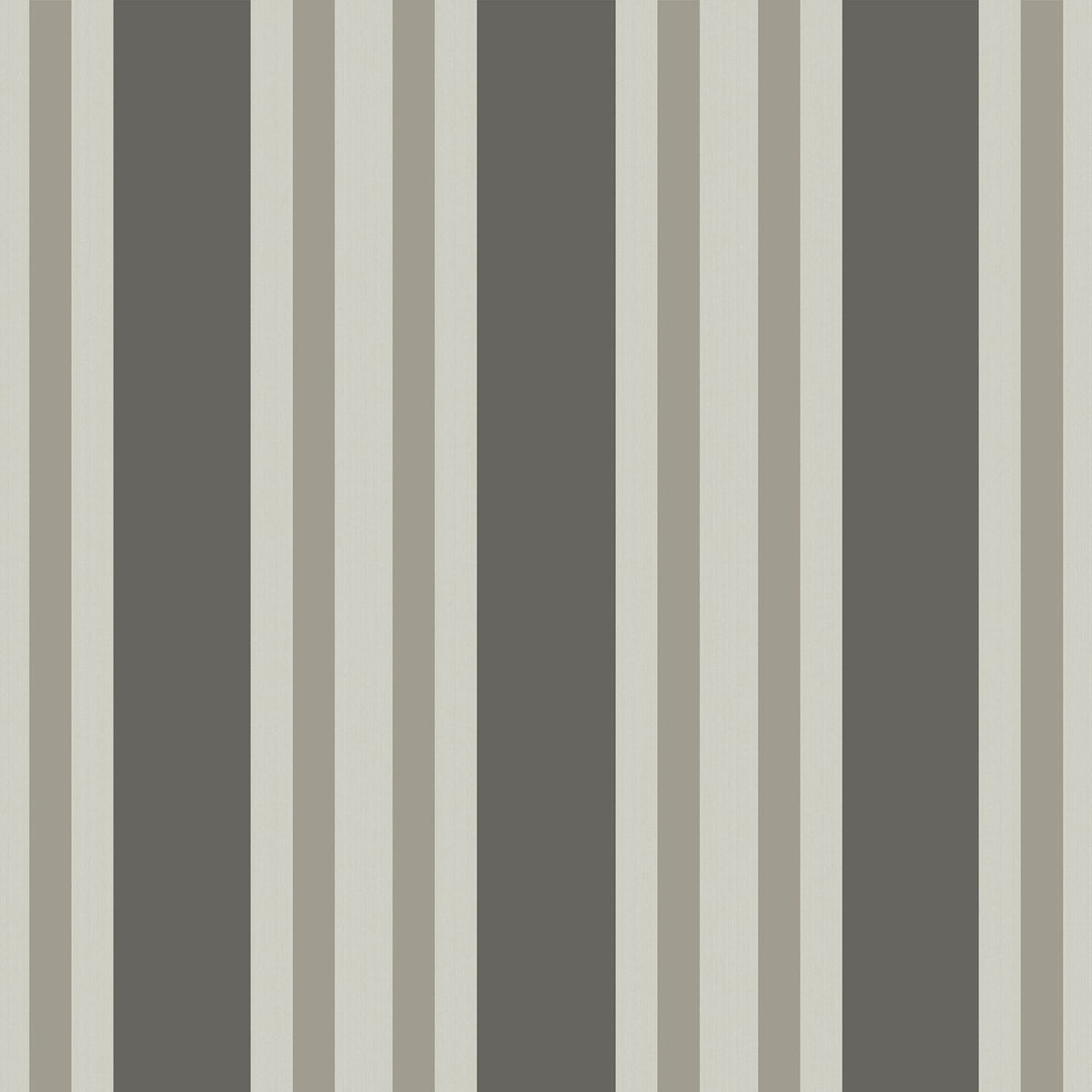 Cole & Son Polo Stripe Tapete – Soot & Parchment (110/1001), Musteransicht