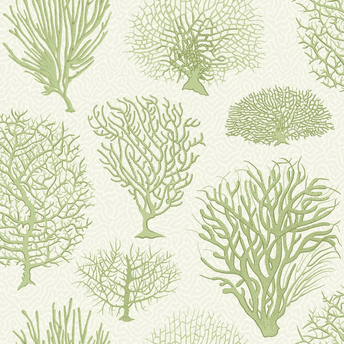 Cole & Son Seafern, Olive Green on White, 107/2008