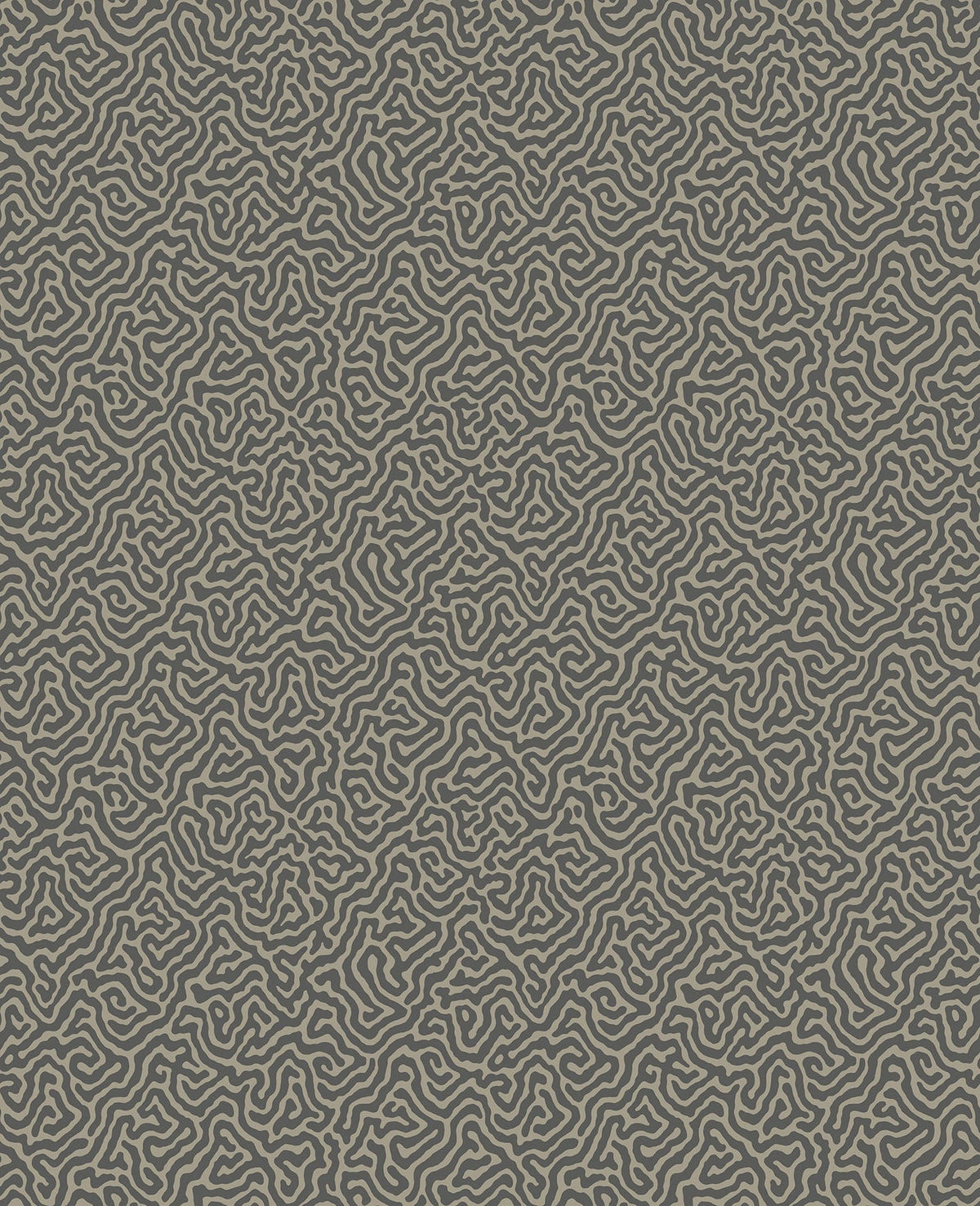 Cole & Son Vermicelli – Charcoal on Linen (107/4017)