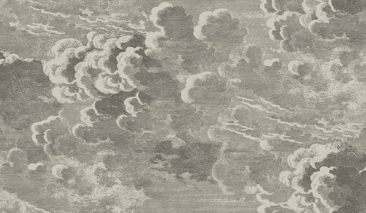 Cole & Son Fornasetti Nuvolette Zweier-Rollenset, Metallic Silber & Kohle, 114/2004