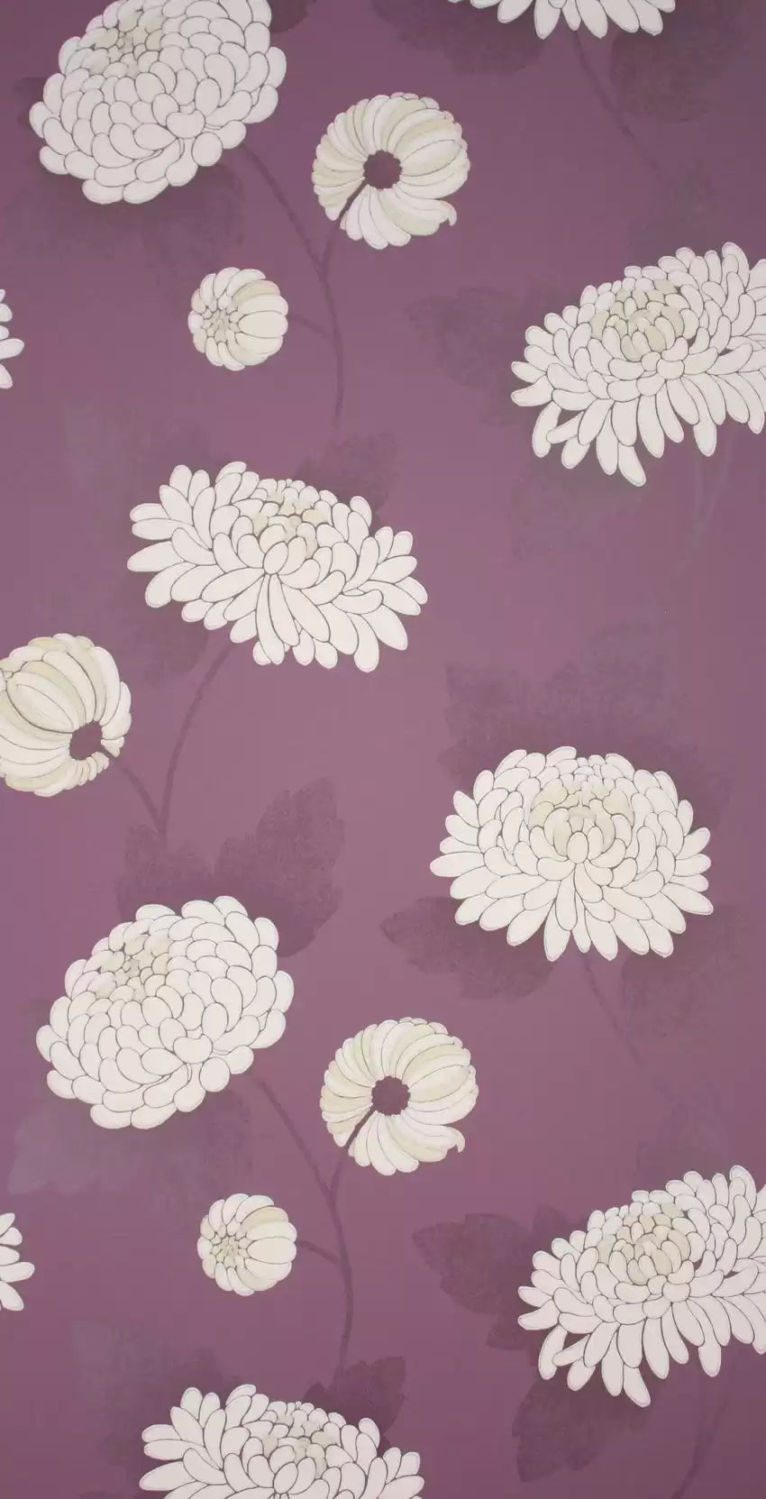 Osborne & Little Tapete Wilde Chrysanthemum – Farbvariante W5450-03