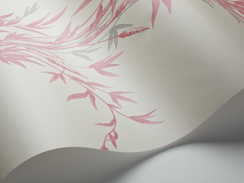 Cole and Son - Tapete Bamboo Wallpaper-Tapeten-Cole & Son-Rose on Parchment S100/5024-TOJU Interior