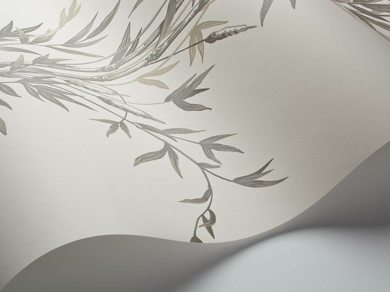 Cole and Son - Tapete Bamboo Wallpaper-Tapeten-Cole & Son-Taupe on White S100/5025-TOJU Interior