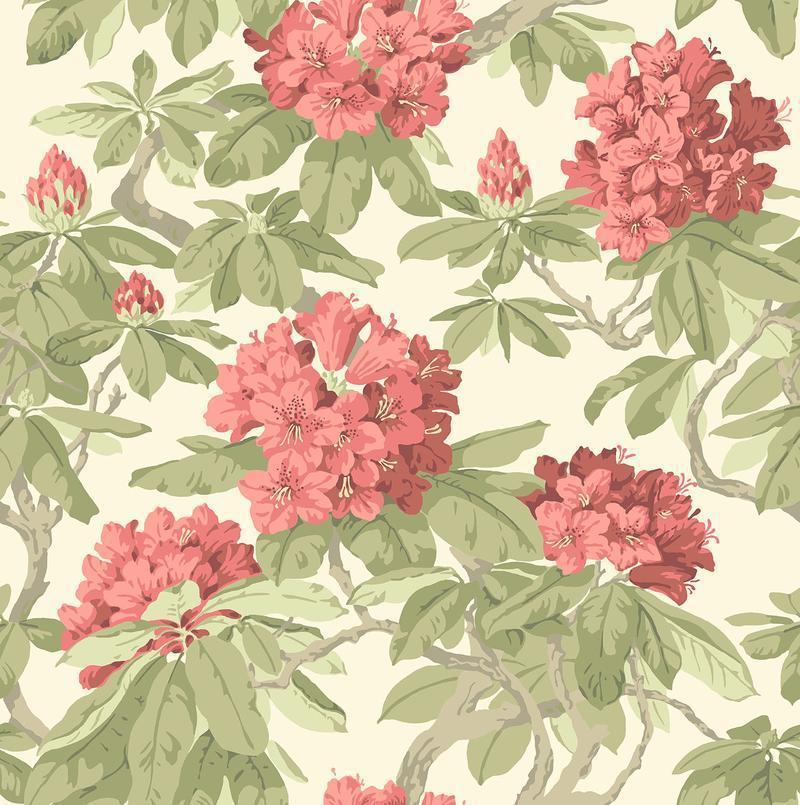 Cole and Son - Tapete Bourlie Wallpaper-Tapeten-Cole & Son-TOJU Interior