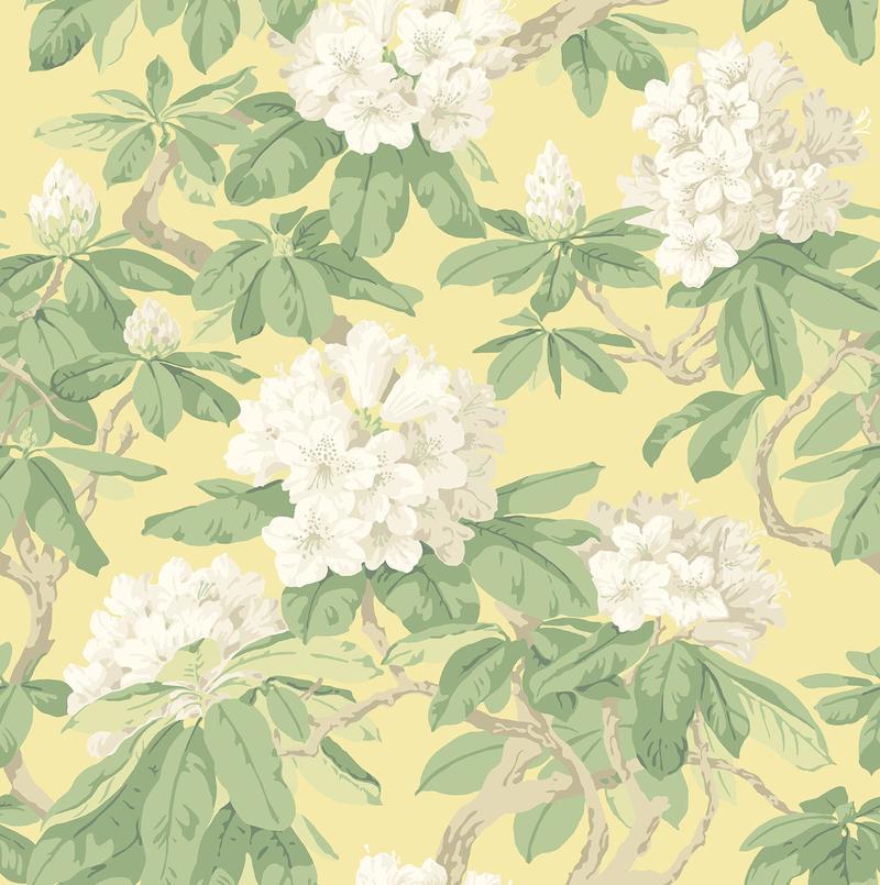 Cole and Son - Tapete Bourlie Wallpaper-Tapeten-Cole & Son-TOJU Interior