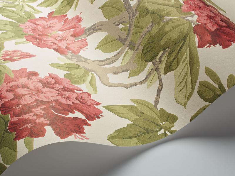 Cole and Son - Tapete Bourlie Wallpaper-Tapeten-Cole & Son-RoseXgsX Olive on White S99/4020-TOJU Interior