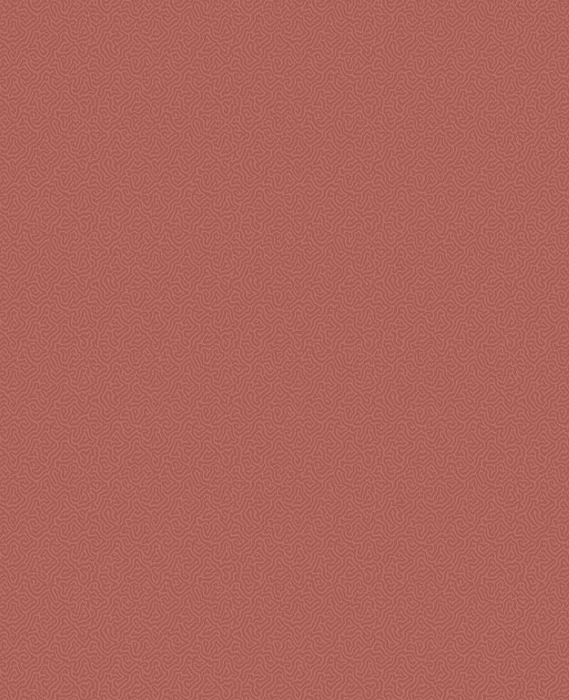 Cole and Son - Tapete Coral Wallpaper-Tapeten-Cole & Son-TOJU Interior
