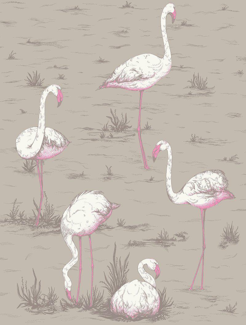 Cole and Son - Tapete Flamingos Wallpaper-Tapete-Cole & Son-TOJU Interior