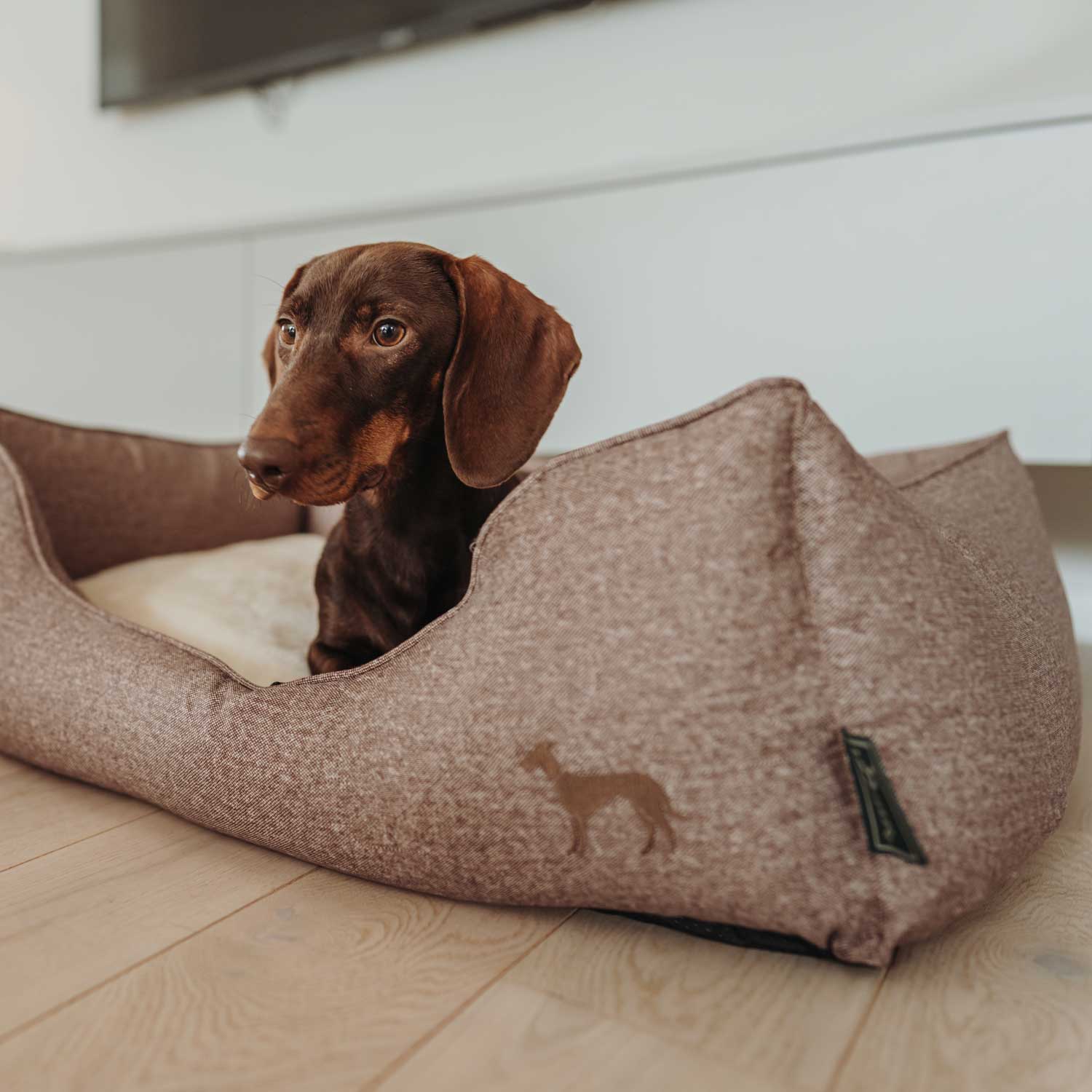 Hunter - Hundesofa Boston Cozy-Hundebetten-Hunter-TOJU Interior