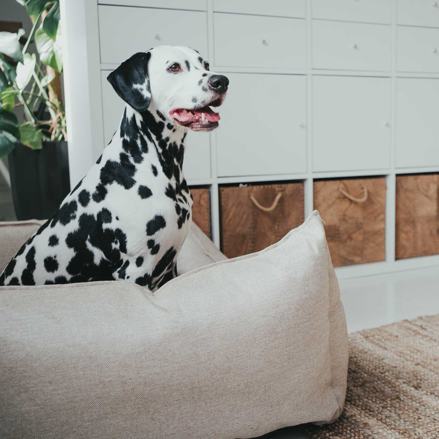 Hunter - Hundesofa Livingston-Hundebetten-Hunter-TOJU Interior