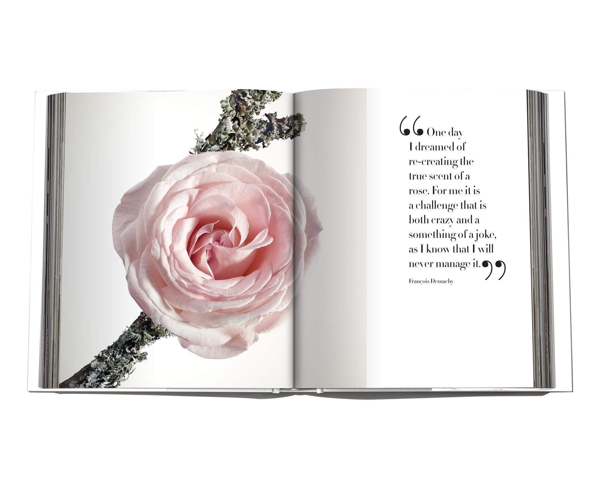 Assouline - La Collection Privee Christian Dior Parfum - Coffee Table Book-TOJU Interior