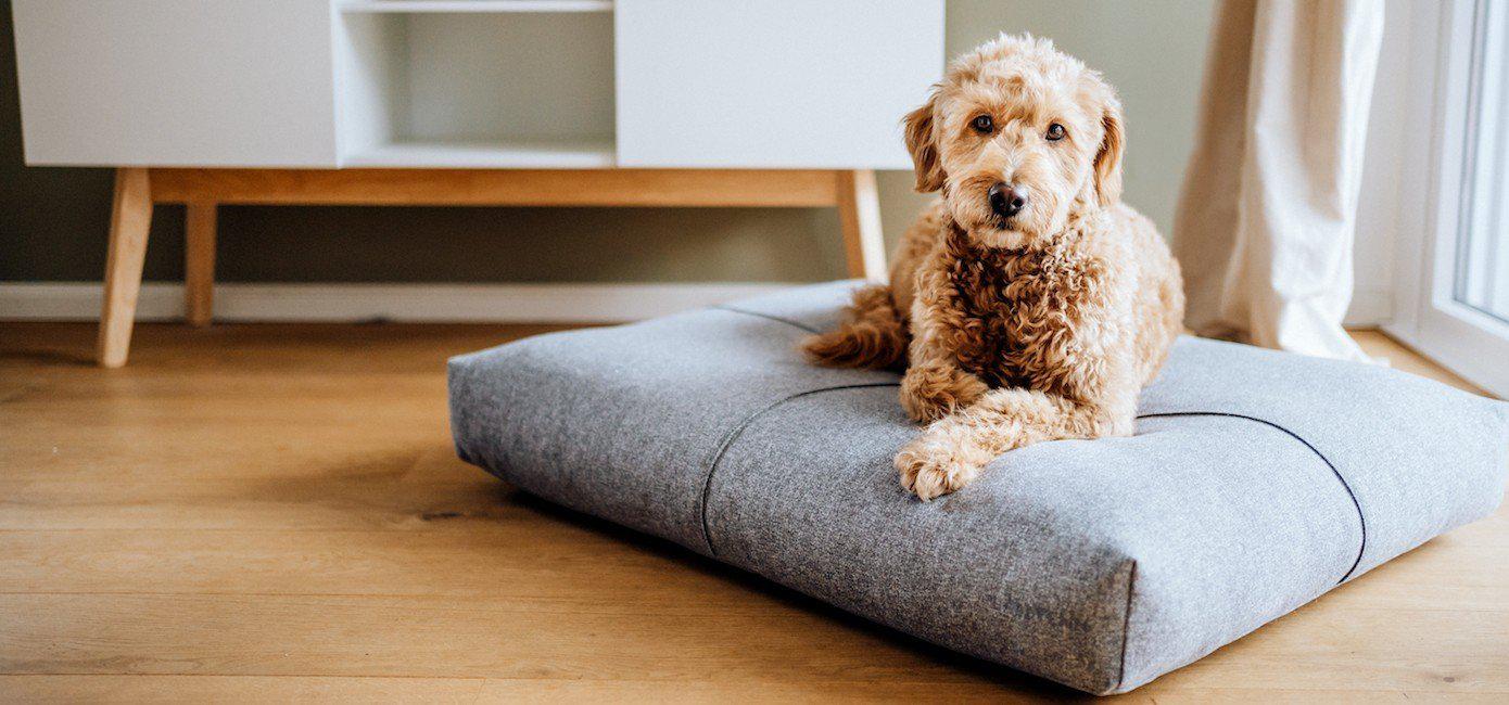 Labbvenn - Hundekissen Finno-Hundebett-Labbvenn-TOJU Interior