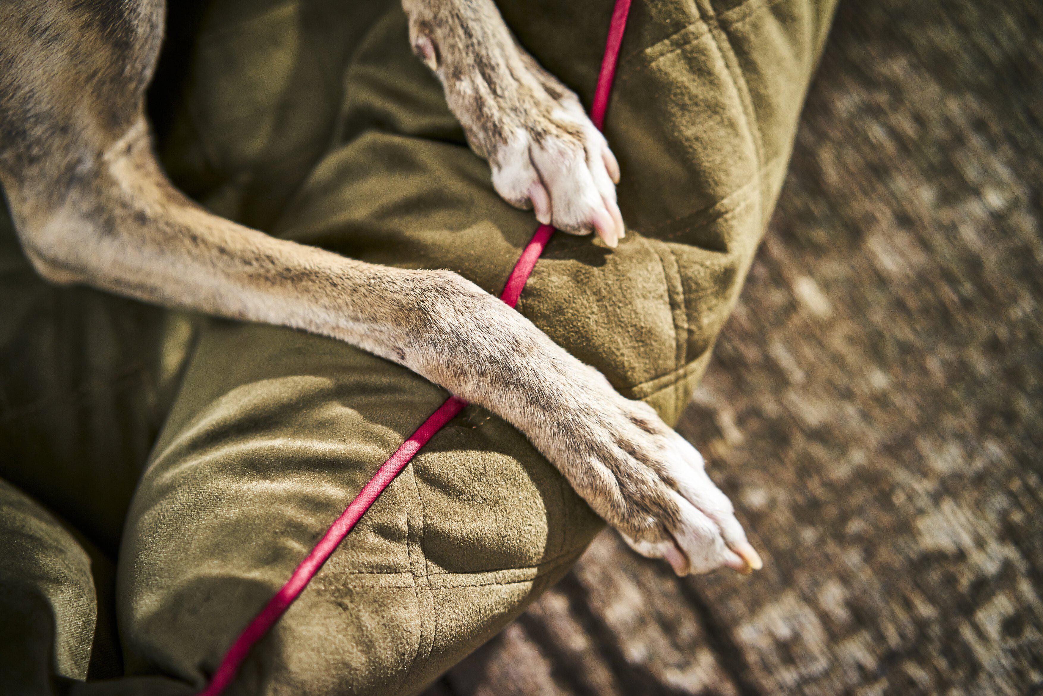 Laboni - Hundebett Oxford-Hundebett-Laboni-TOJU Interior