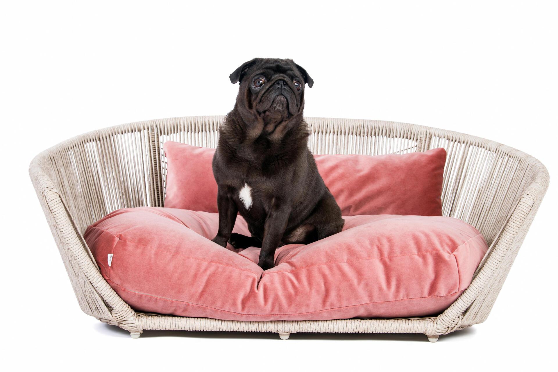 Laboni - Vogue - Design-Hundebett Oxford-Hundebett-Laboni-TOJU Interior