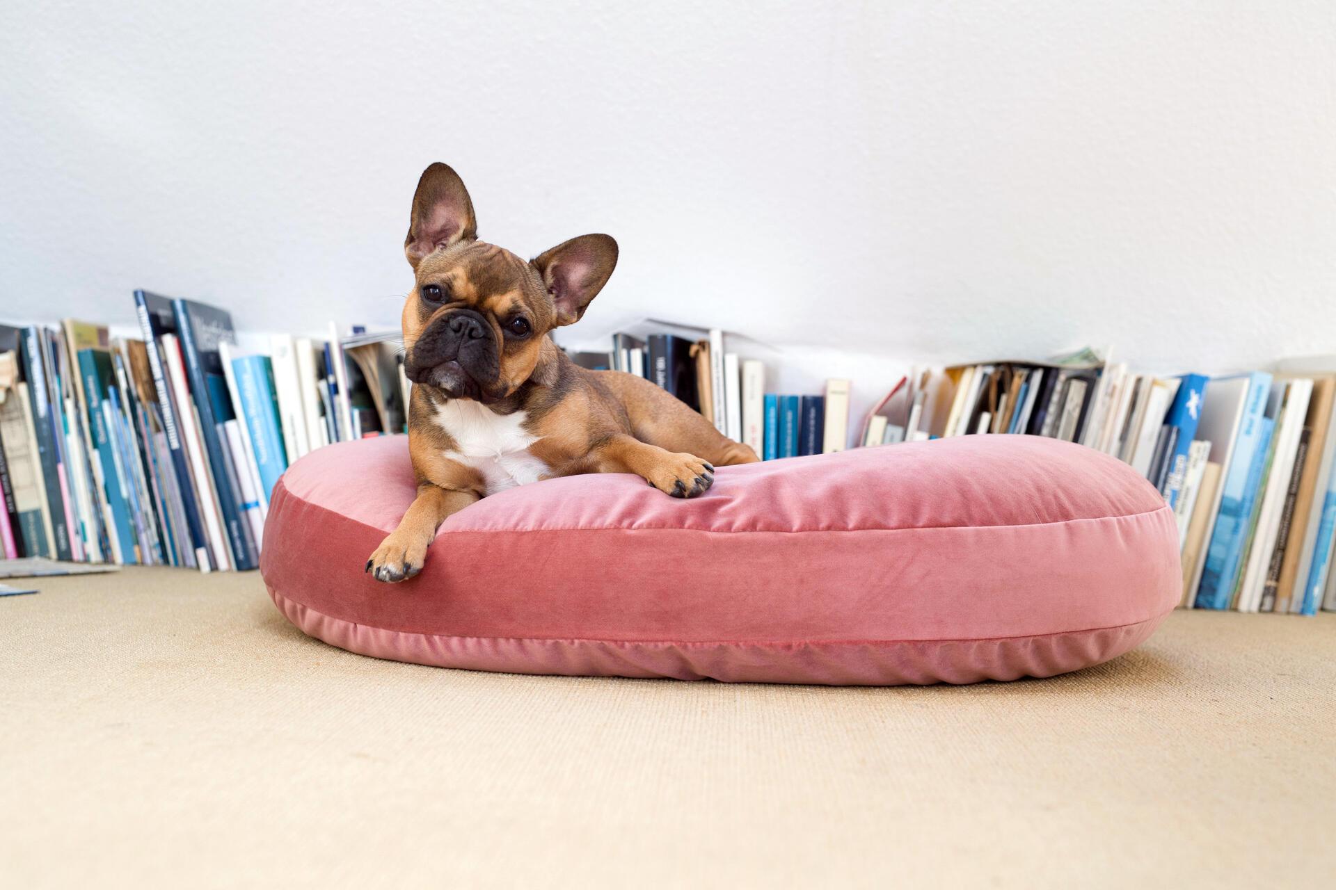 Laboni - Vogue - Design-Hundebett Oxford-Hundebett-Laboni-TOJU Interior