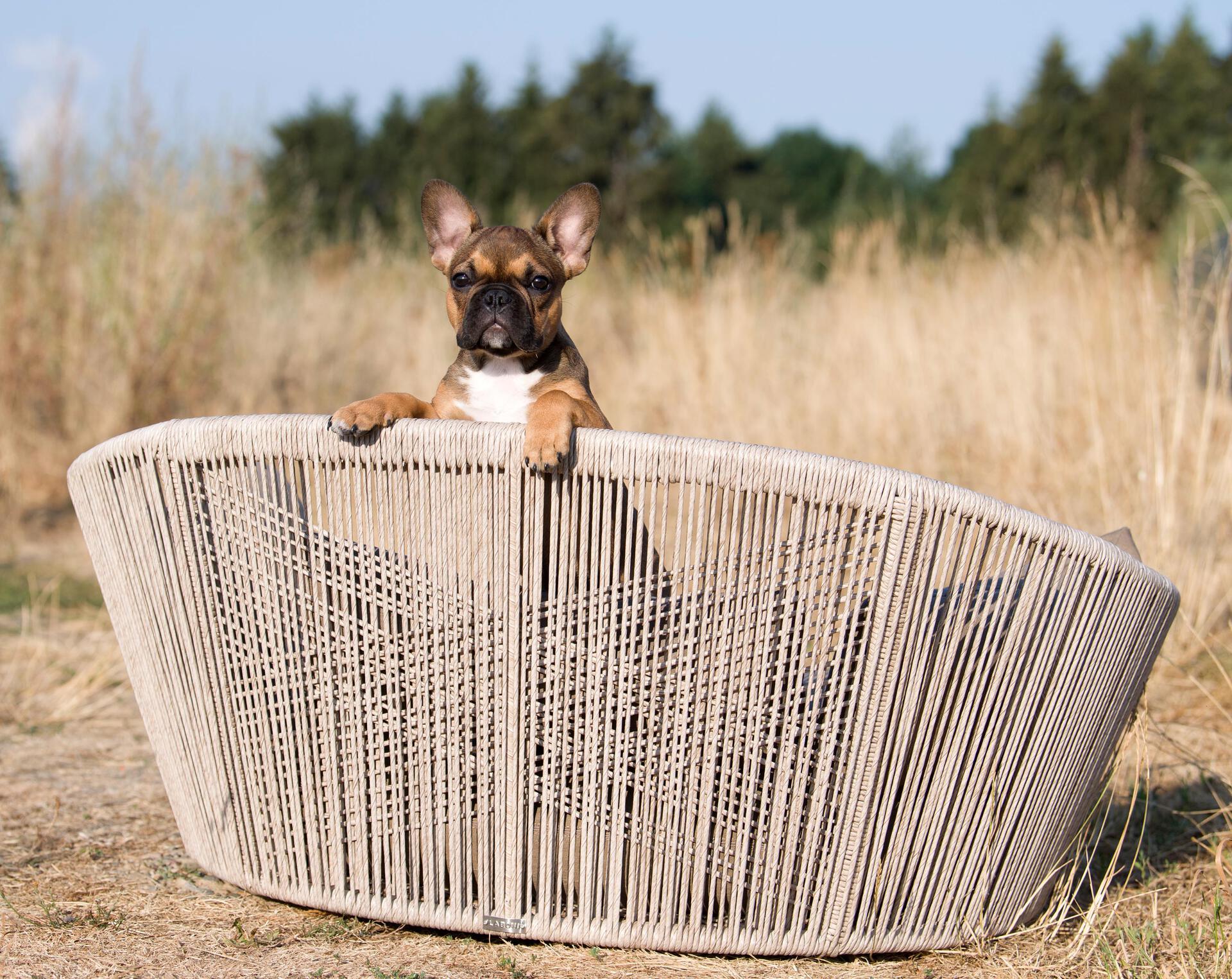 Laboni - Vogue - Design-Hundebett Oxford-Hundebett-Laboni-TOJU Interior