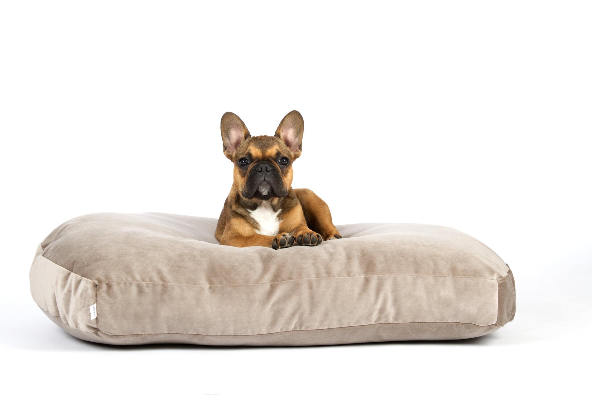 Laboni - Vogue - Design-Hundebett Oxford-Hundebett-Laboni-TOJU Interior