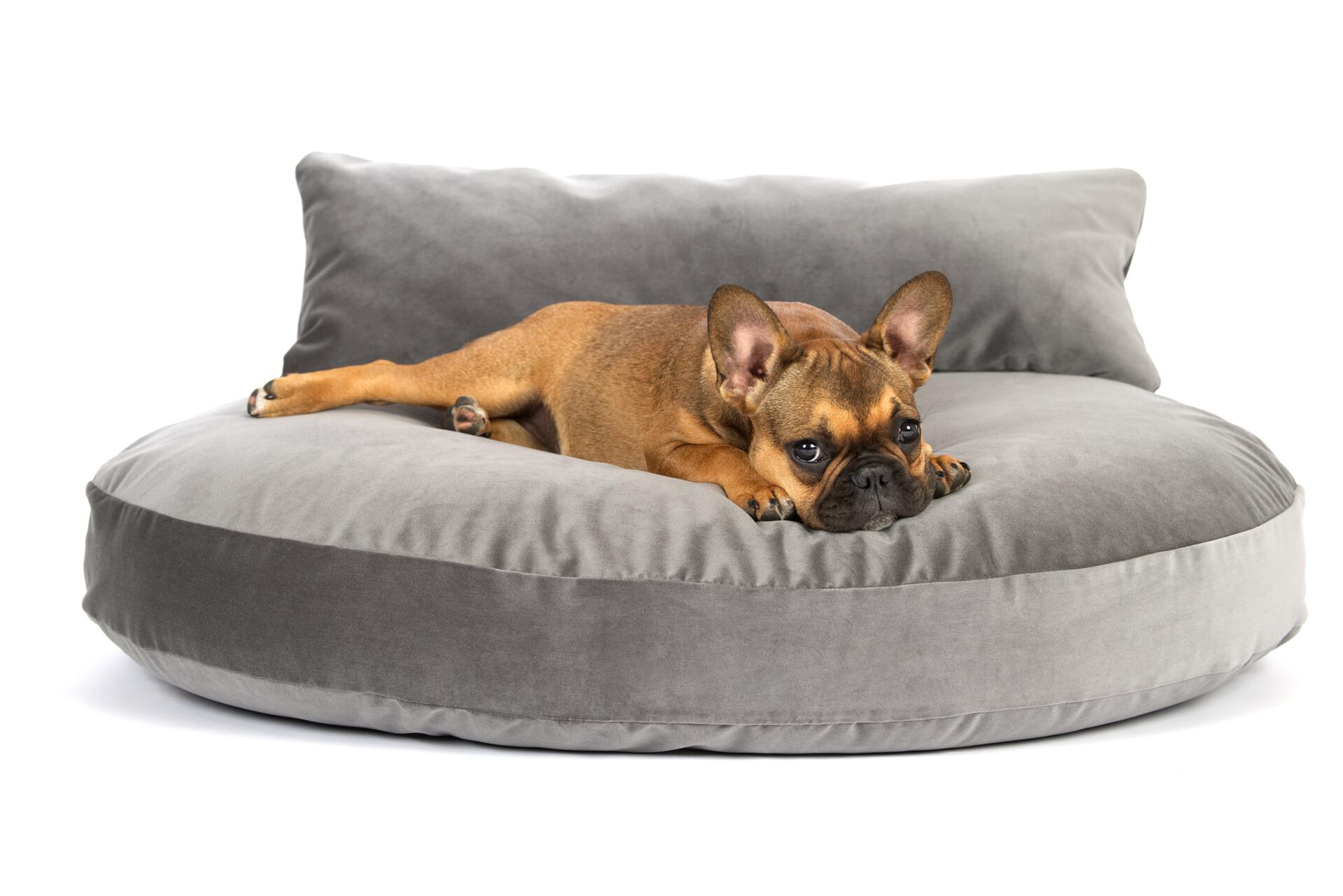 Laboni - Vogue - Design-Hundebett Oxford-Hundebett-Laboni-TOJU Interior