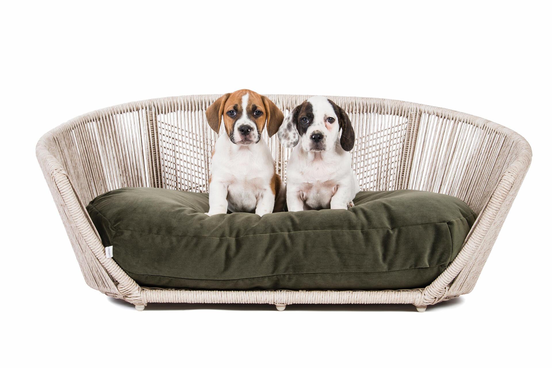Laboni - Vogue - Design-Hundebett Oxford-Hundebett-Laboni-TOJU Interior