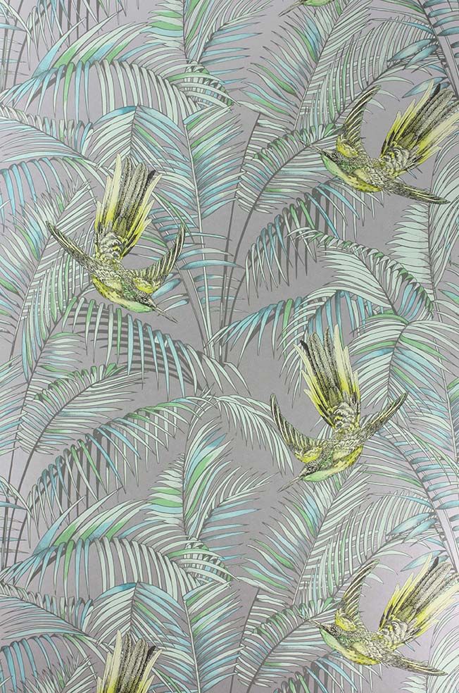 Matthew Williamson Sunbird Tapete – Farbvariante W6543-05