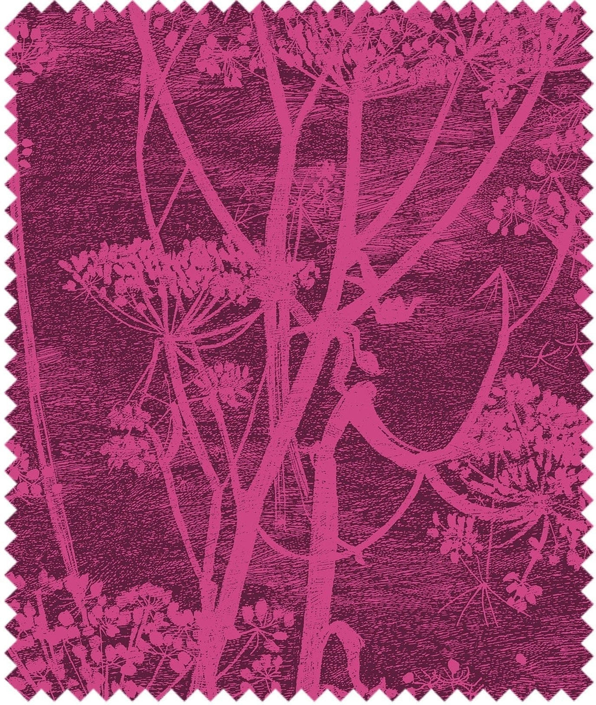 Cole & Son – Stoff Cow Parsley Velvet – F111/5017 – Magenta & Plum