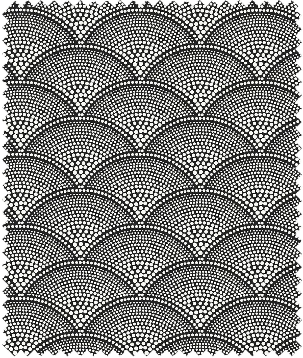 Cole & Son – Stoff Feather Fan Jacquard – F111/8031 – White on Charcoal