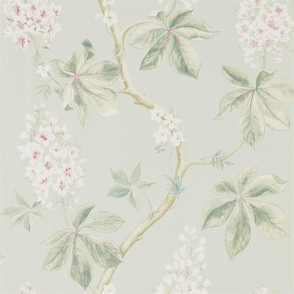 Sanderson - Tapete Chestnut Tree-Tapeten-Sanderson-SEASPRAY/PEONY 215710-215710-Toju Interior